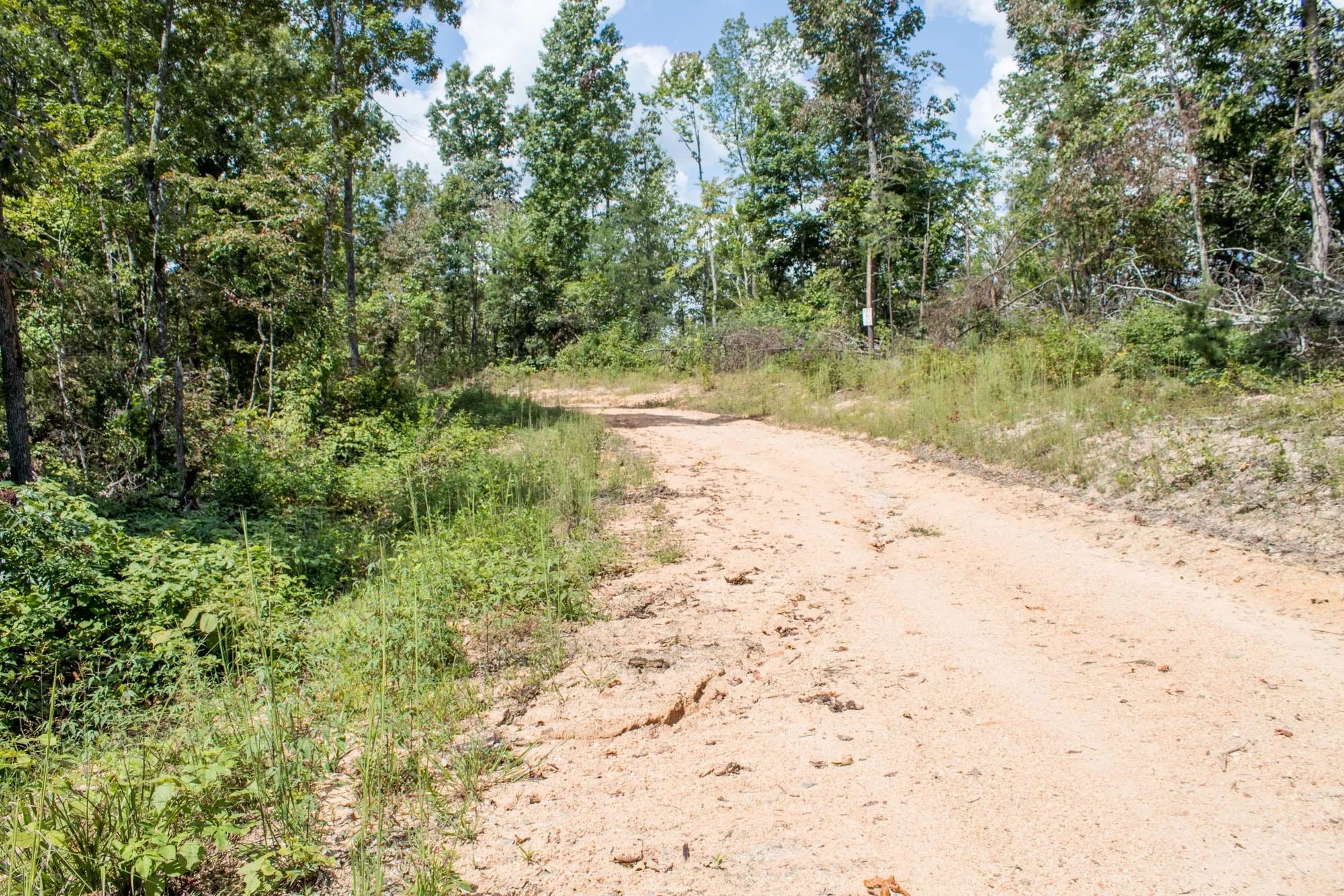 Buck Run Ridge Tract 26 in Wayne County, KY