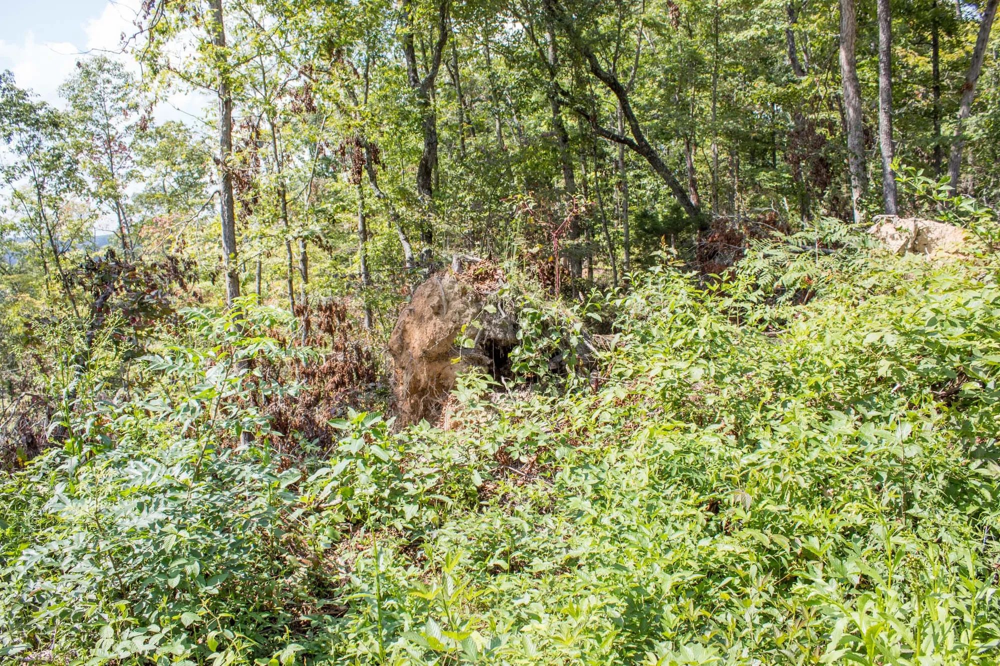 Buck Run Ridge Tract 26 in Wayne County, KY