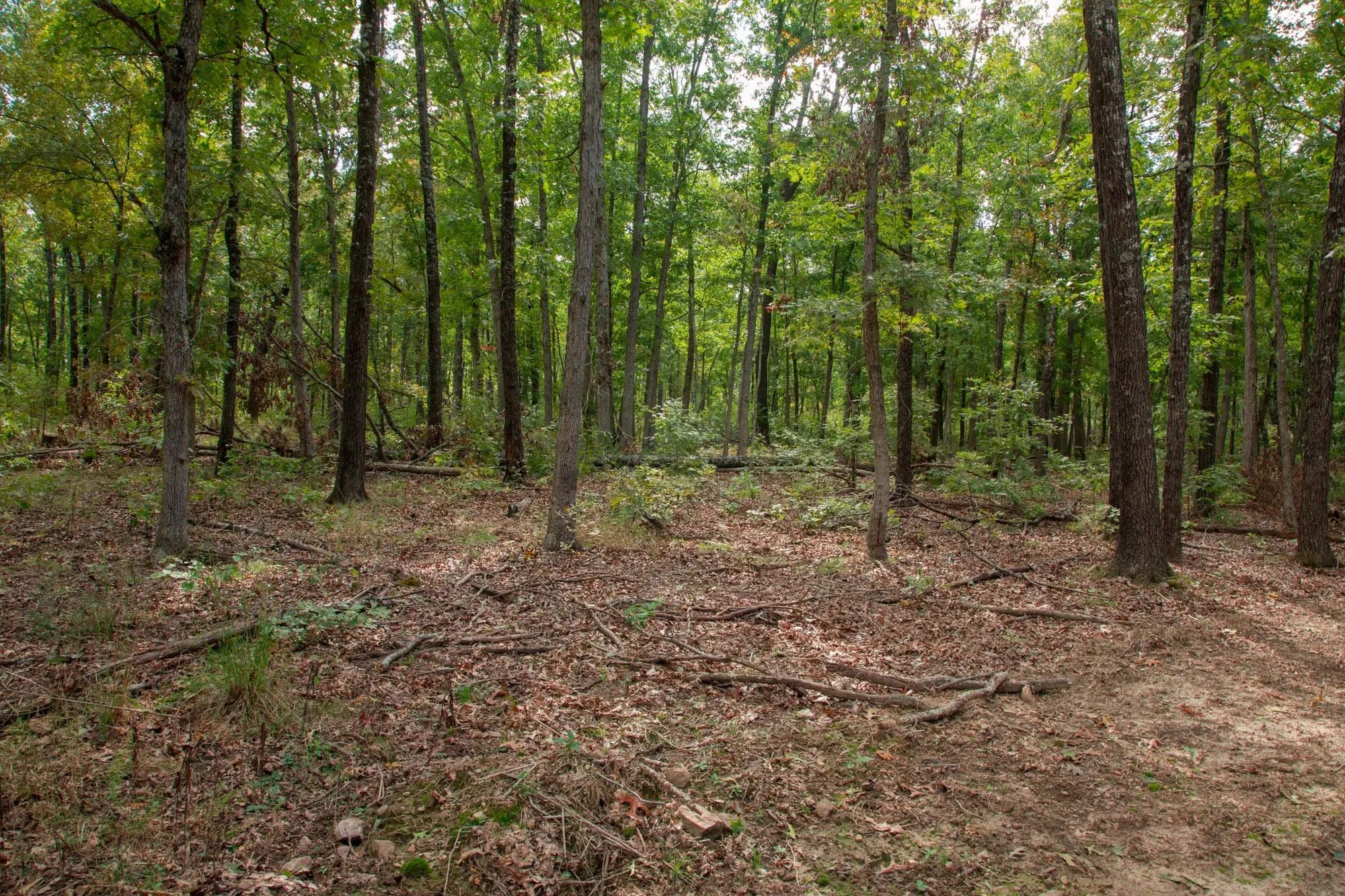 Wagon Wheel Ranch Tract 28 in Dent County, MO