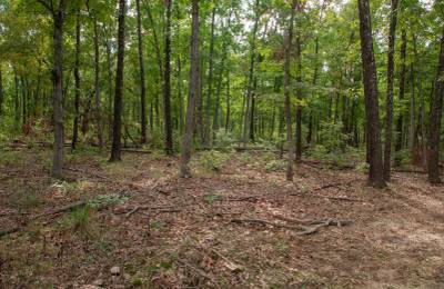 Wagon Wheel Ranch Tract 28