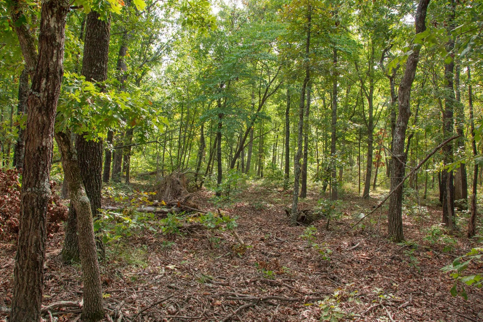 Wagon Wheel Ranch Tract 28 in Dent County, MO