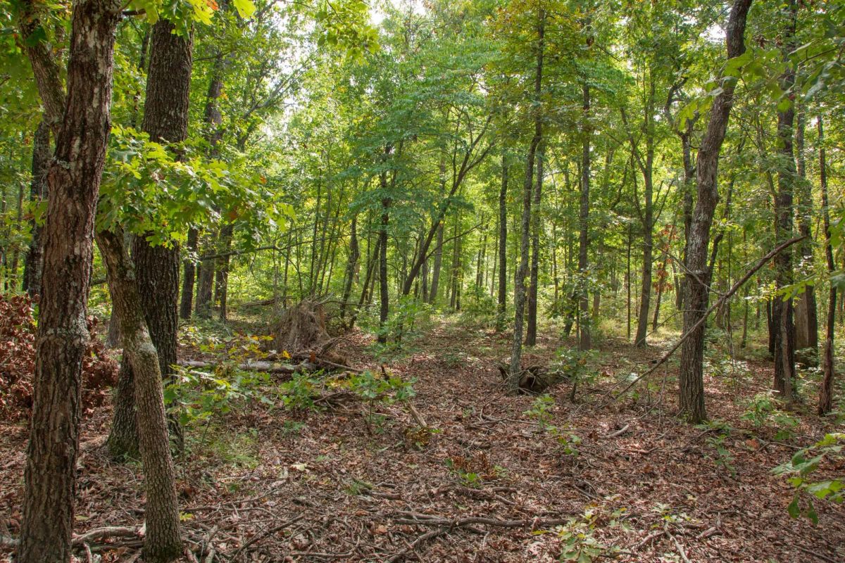 Wagon Wheel Ranch Tract 28 - Image 3