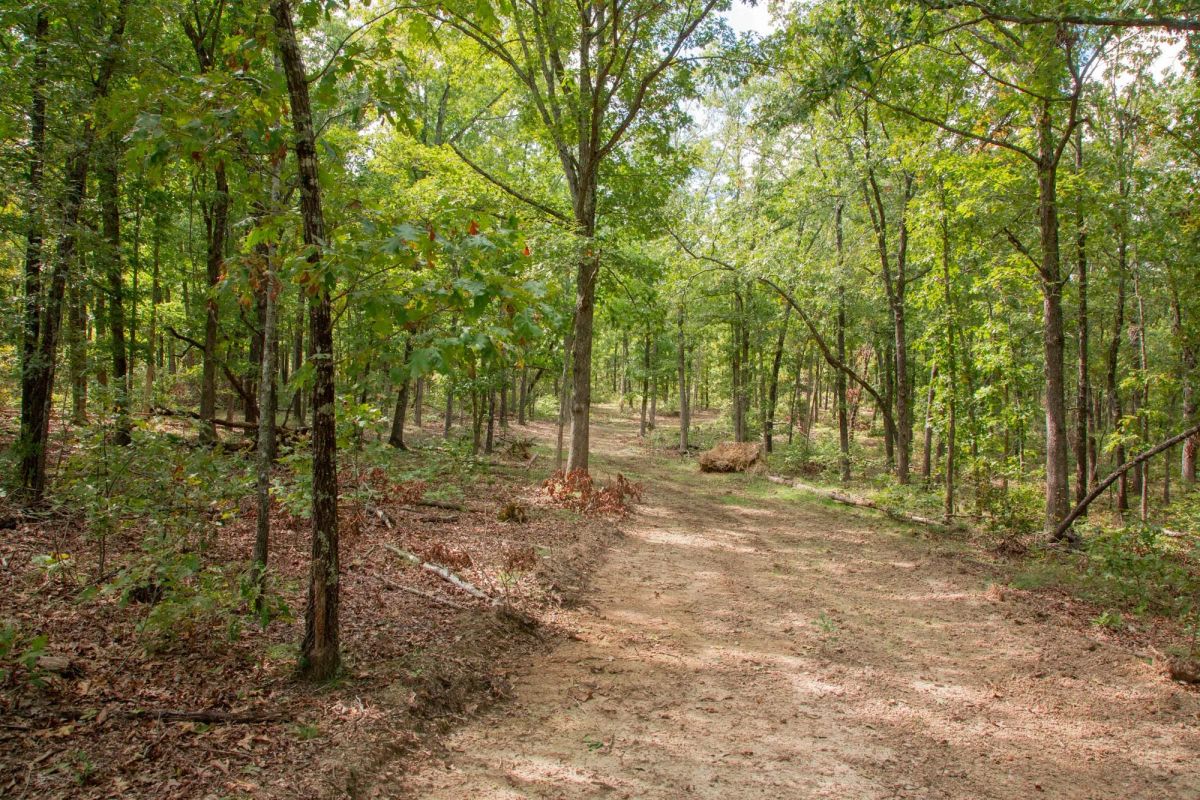 Decorative background for Wagon Wheel Ranch Tract 28 image 5