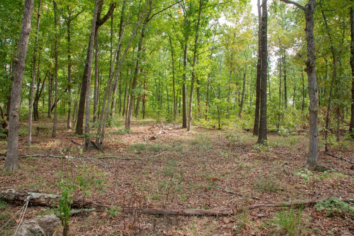 Decorative background for Wagon Wheel Ranch Tract 28 image 6