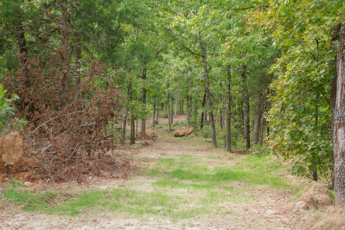 Decorative background for Wagon Wheel Ranch Tract 28 image 7