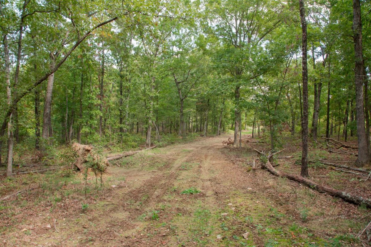 Decorative background for Wagon Wheel Ranch Tract 28 image 10