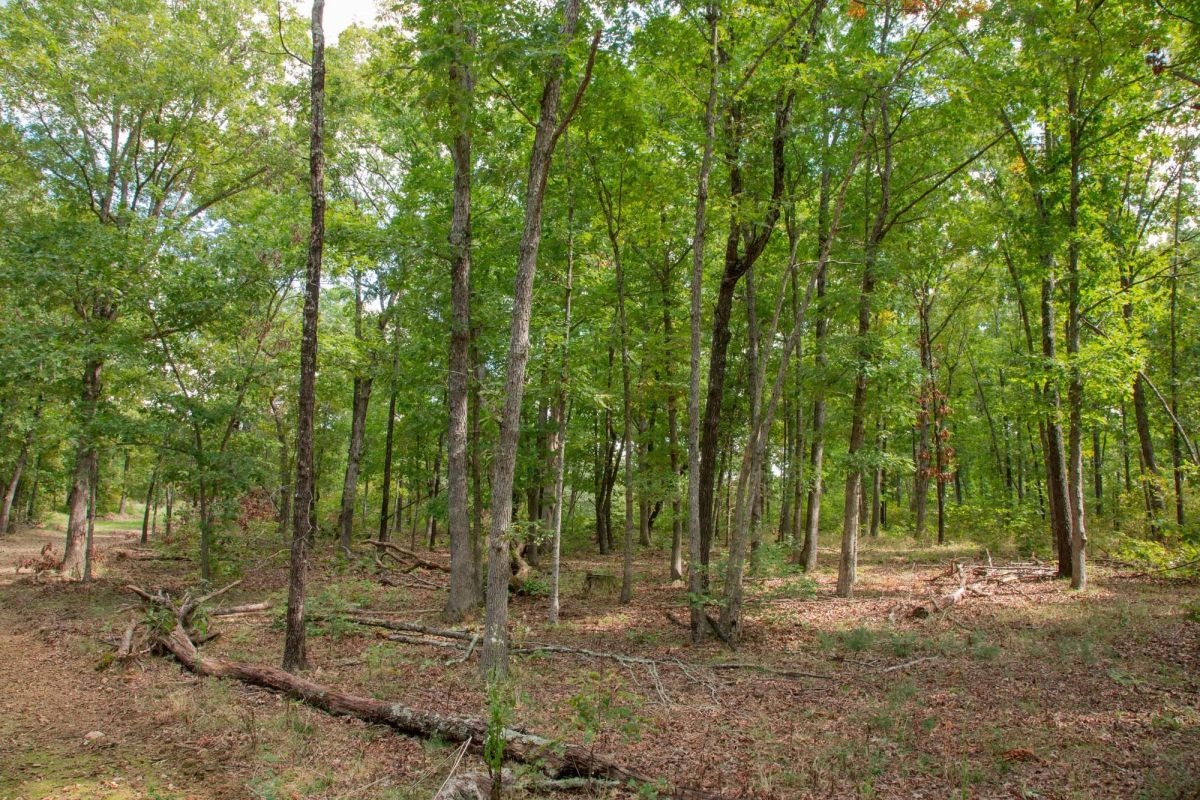 Decorative background for Wagon Wheel Ranch Tract 28 image 11