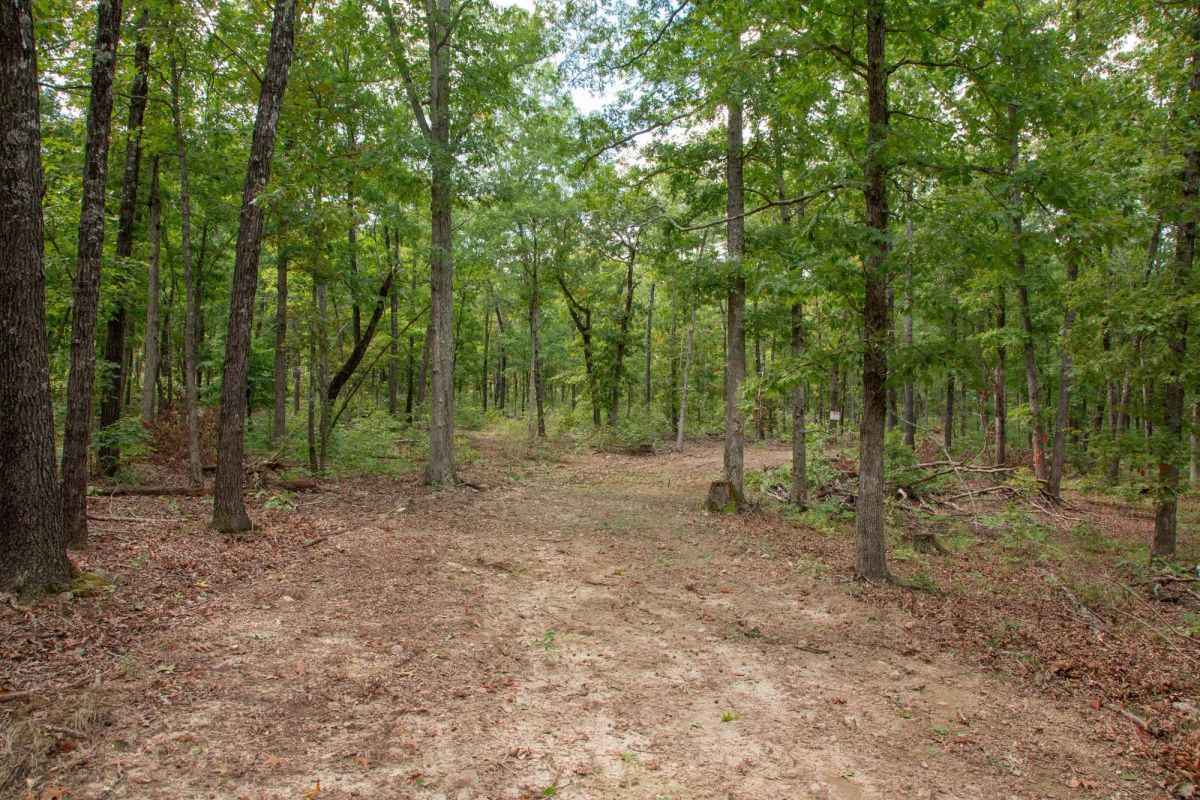 Decorative background for Wagon Wheel Ranch Tract 28 image 12