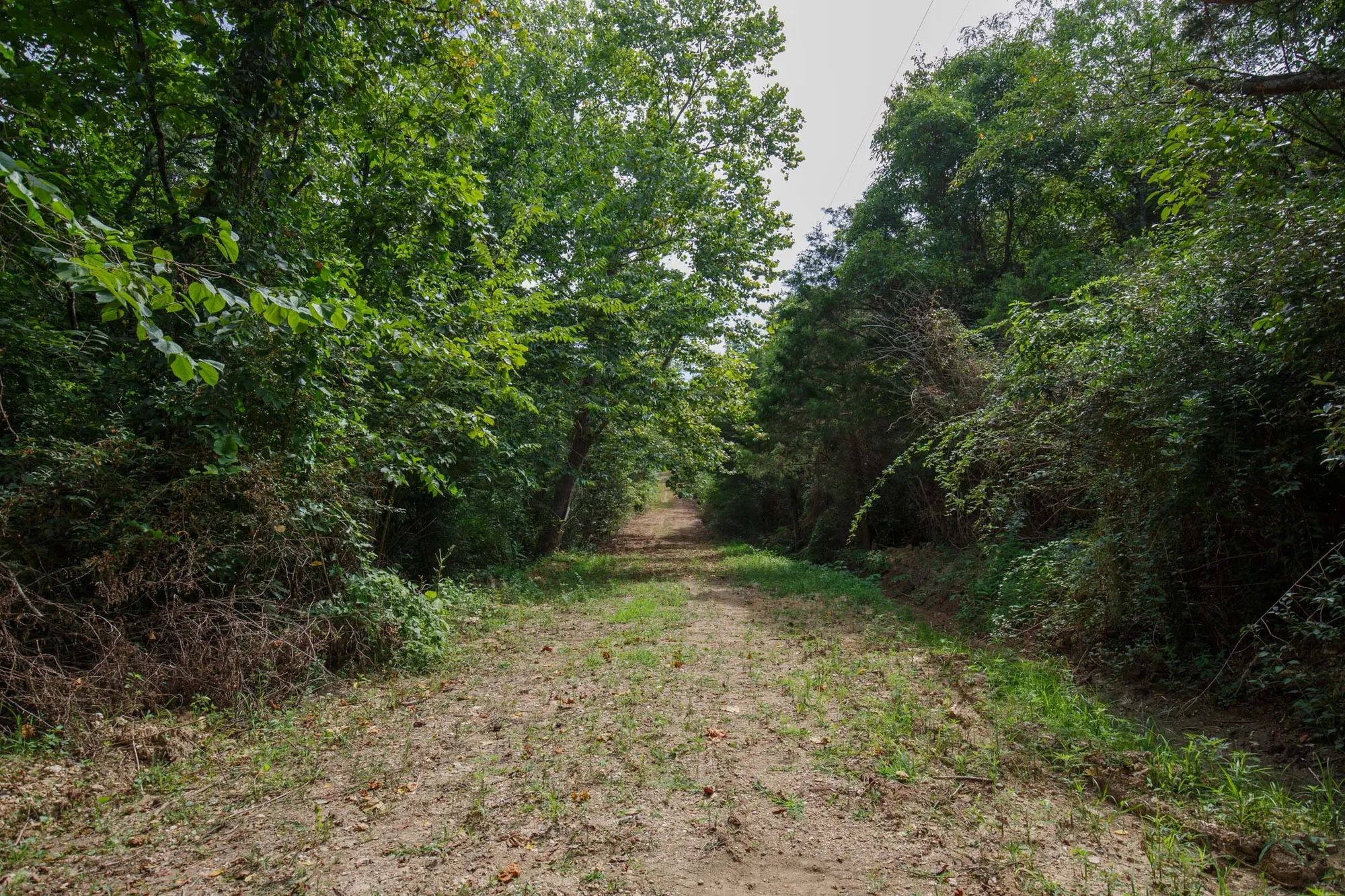 Spring Lake Plat 6 Tract 28 in Miller County, MO