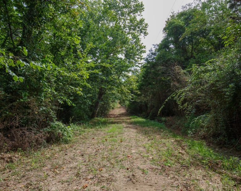 Spring Lake Plat 6 Tract 28 in Miller County, MO