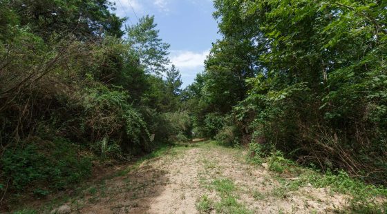 Spring Lake Plat 6 Tract 28 in Miller County, MO