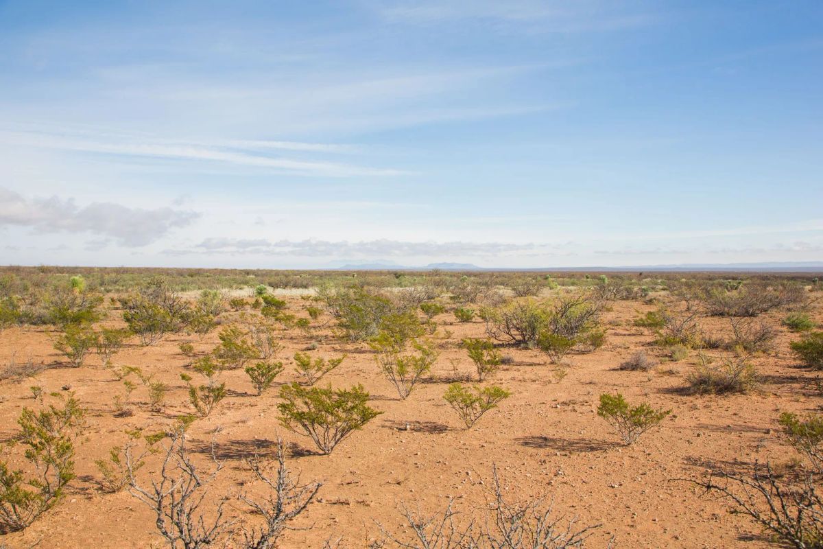 Decorative background for Sunset Ranches Tract 17 image 5