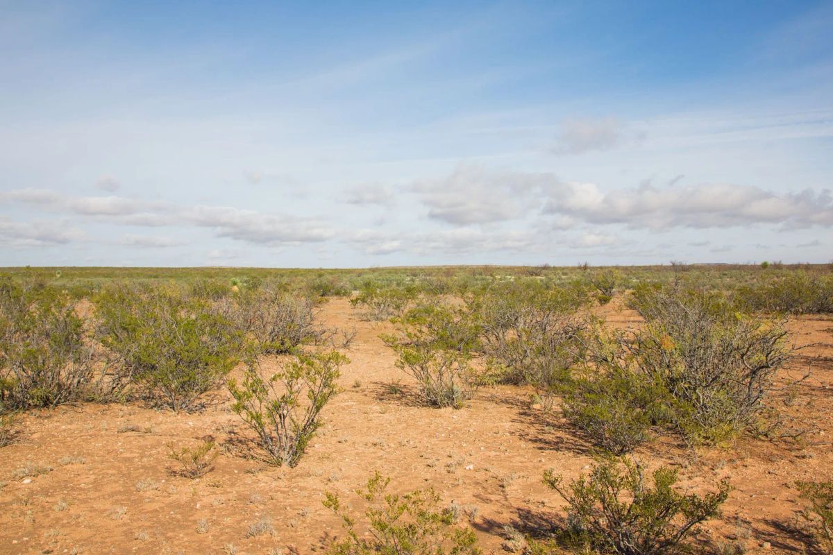 Decorative background for Sunset Ranches Tract 17 image 6