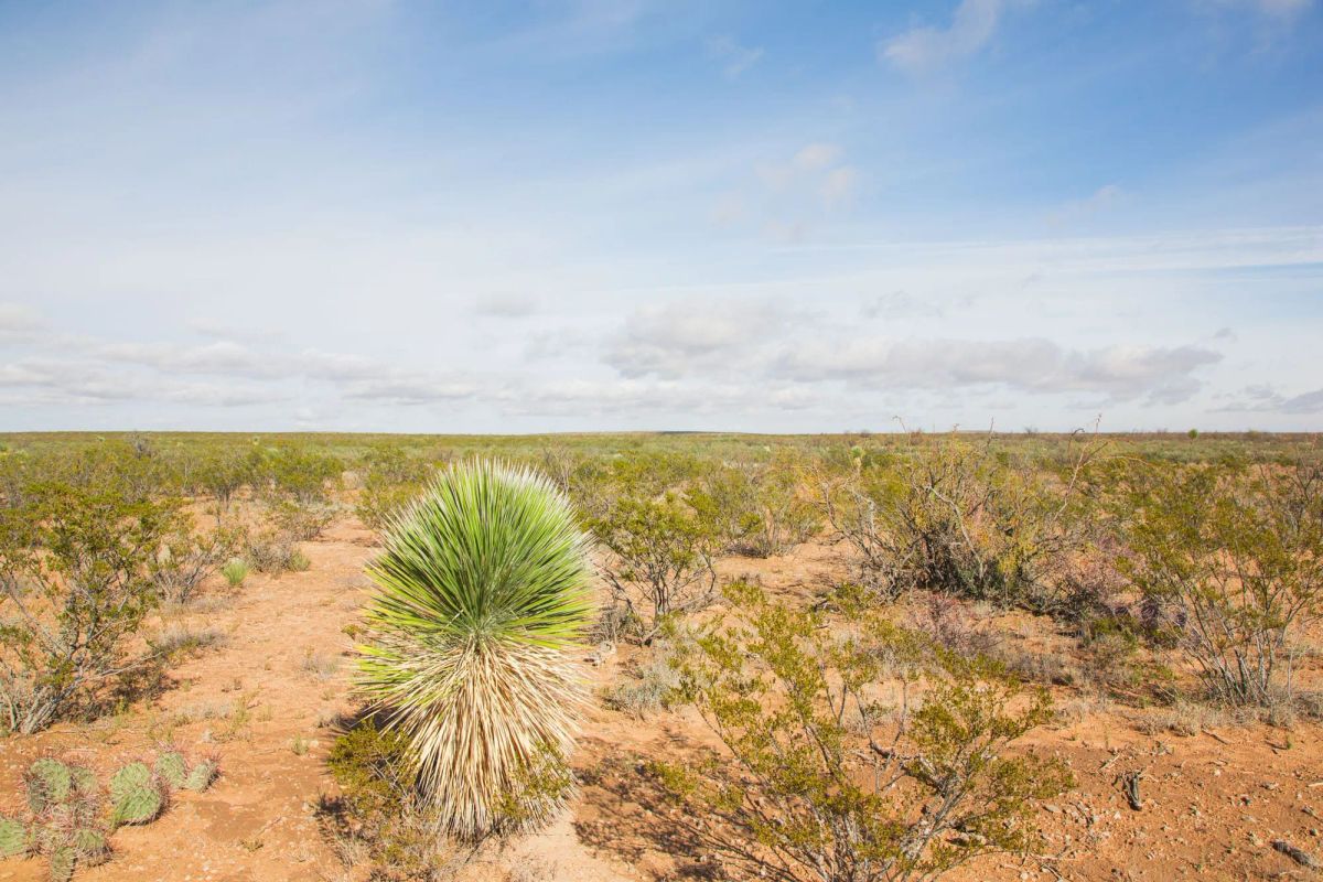 Decorative background for Sunset Ranches Tract 17 image 8
