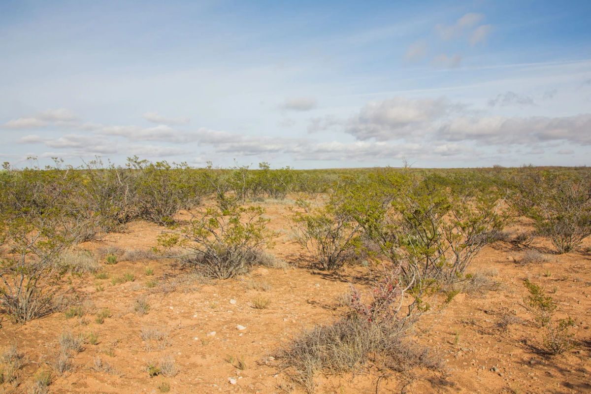 Decorative background for Sunset Ranches Tract 17 image 9