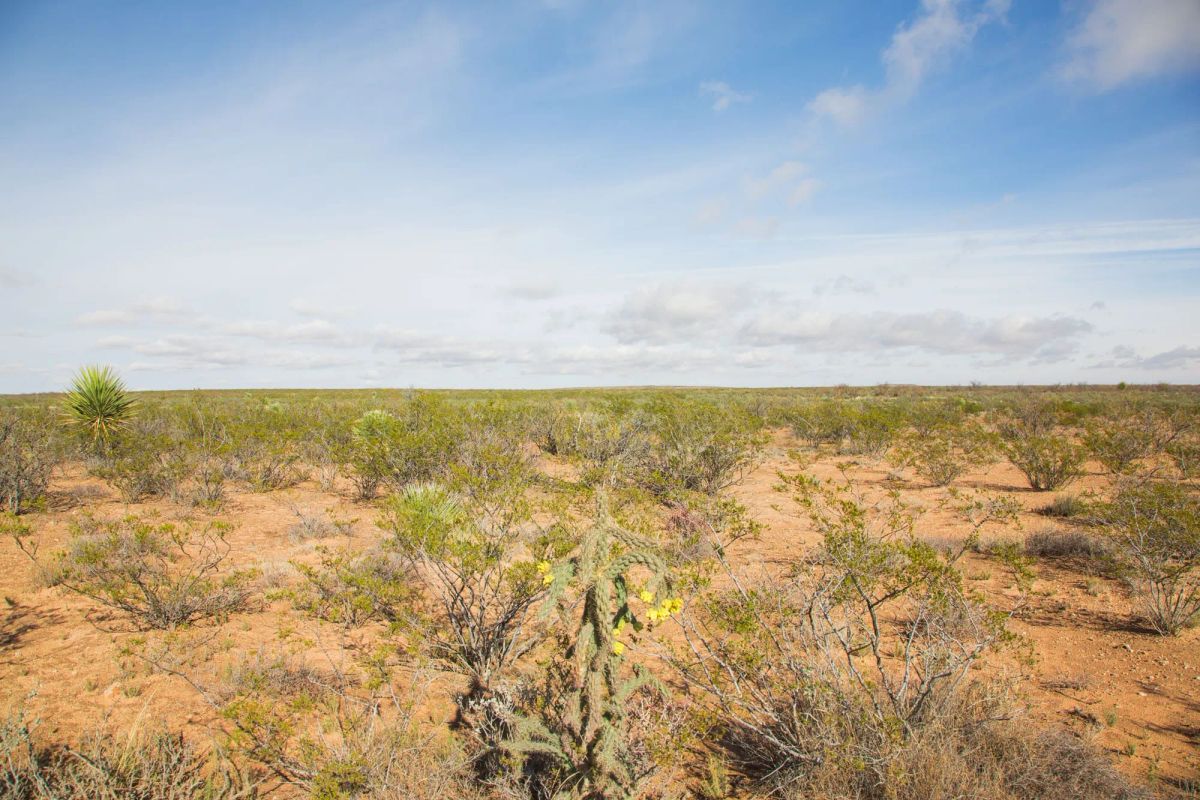 Decorative background for Sunset Ranches Tract 17 image 10