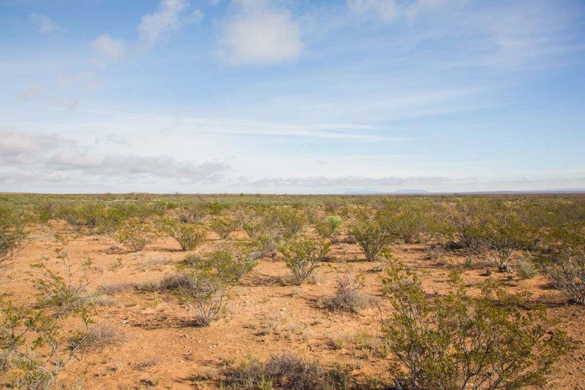 Decorative background for Sunset Ranches Tract 17 image 11