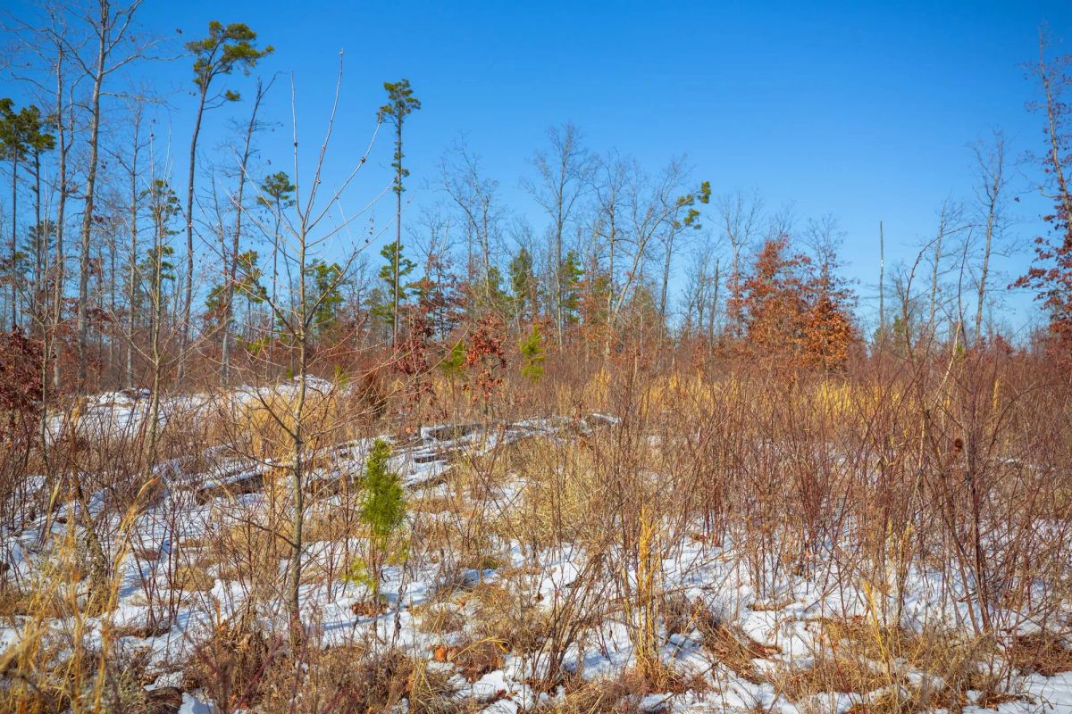 Decorative background for Sleepy Hollow Phase I Tract 25 image 14