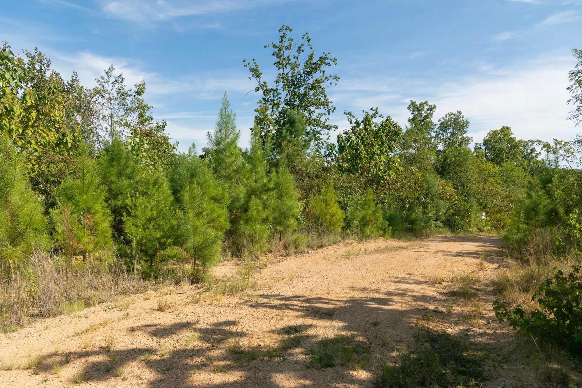 Big White Oak Tract 39 in Wayne County, TN