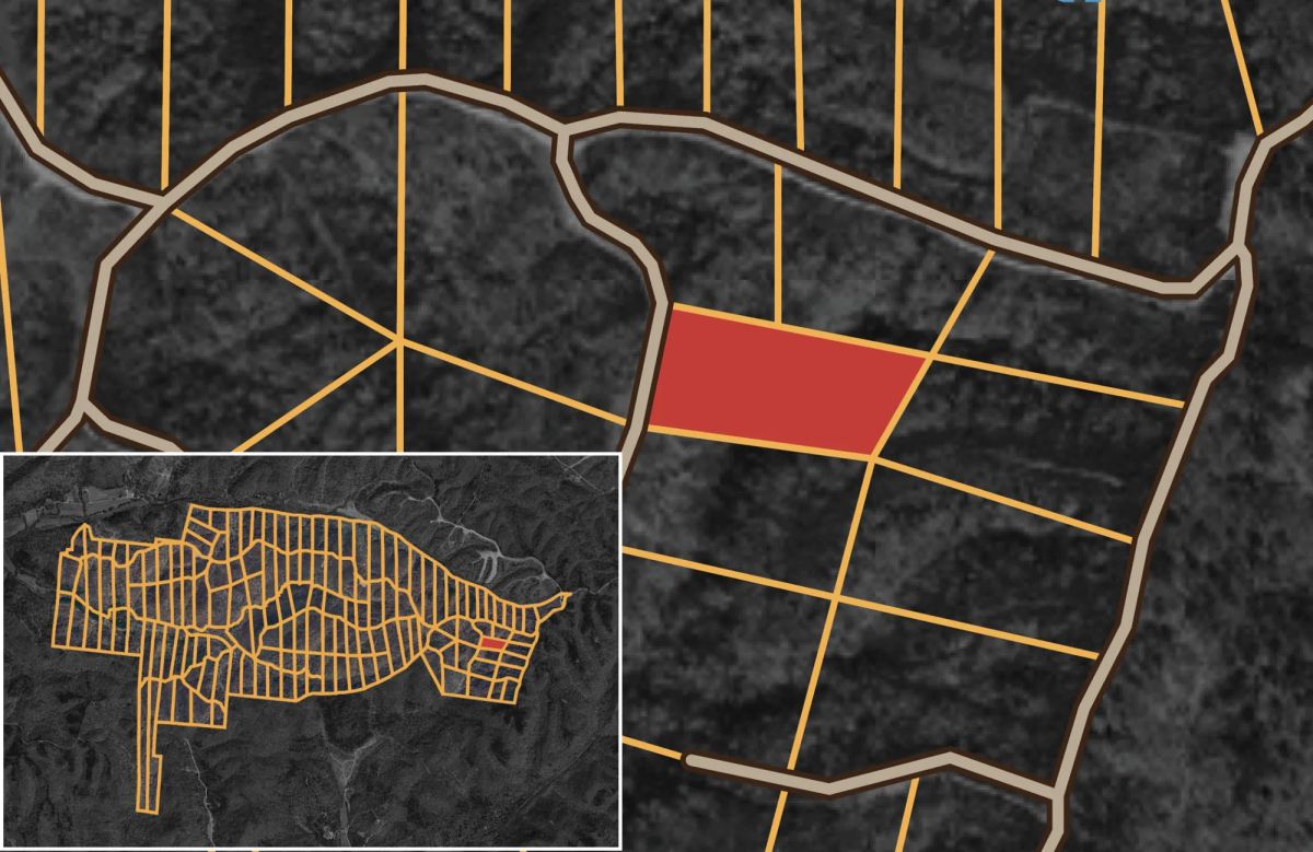 Decorative background for Big White Oak Tract 39 image 10