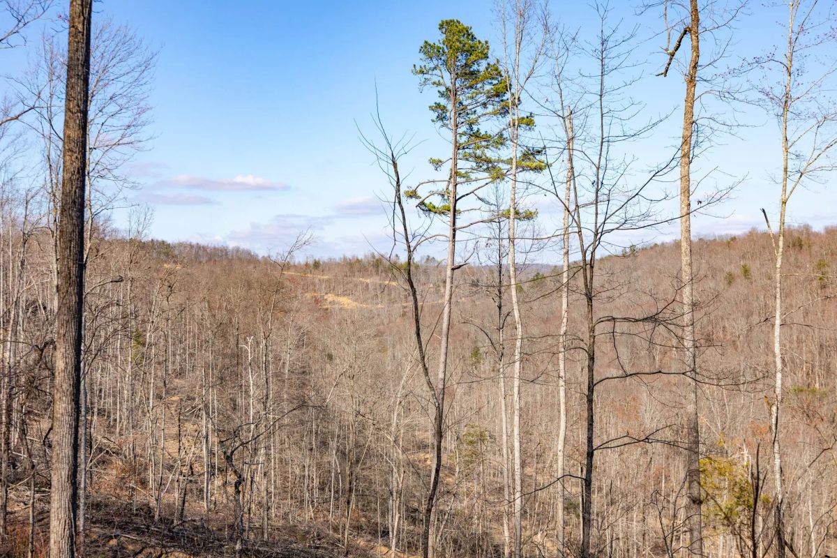 Creek Hollow Phase I Tract 16 - Main image