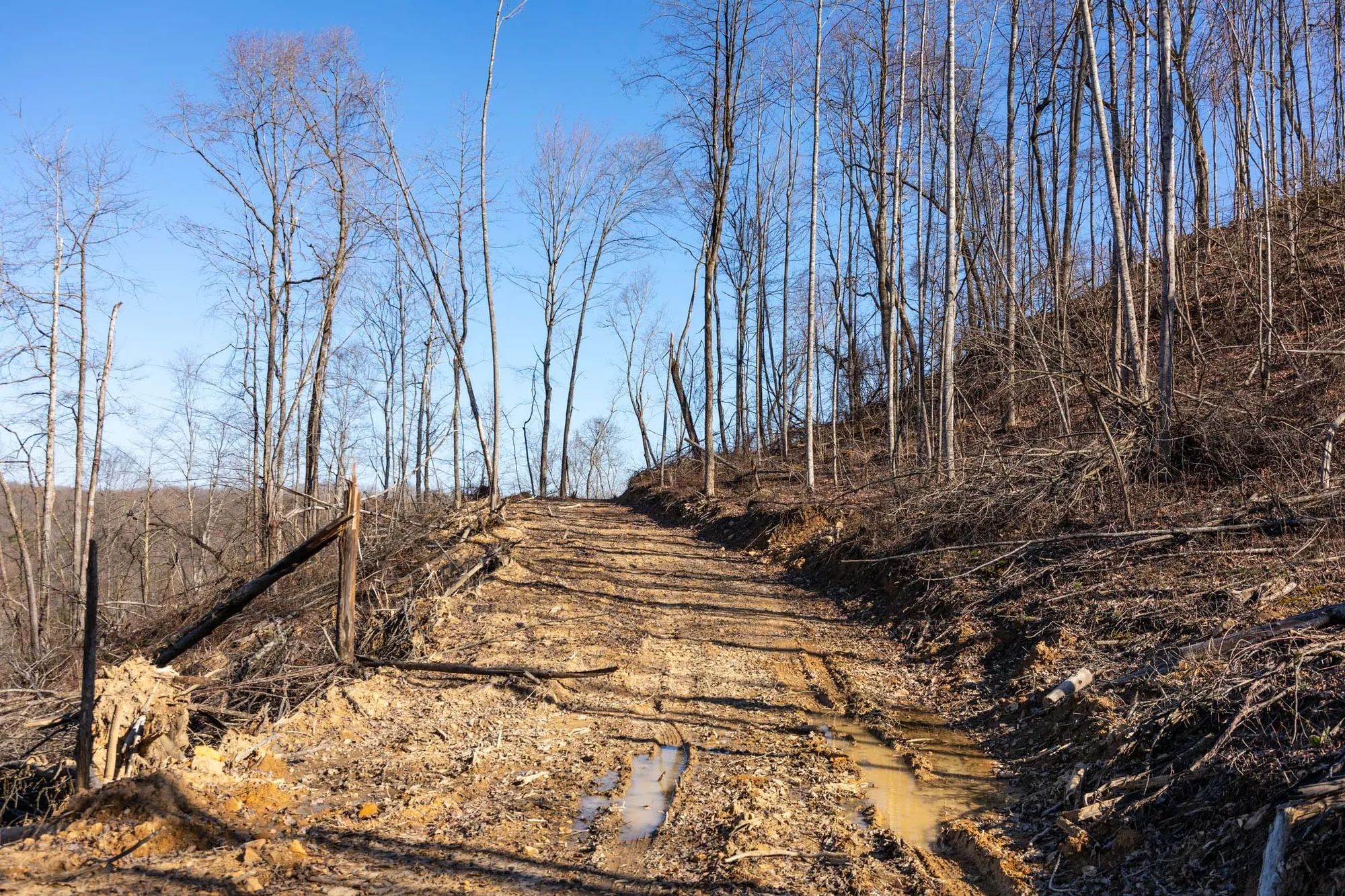Creek Hollow Phase I Tract 16 in Rockcastle County, KY