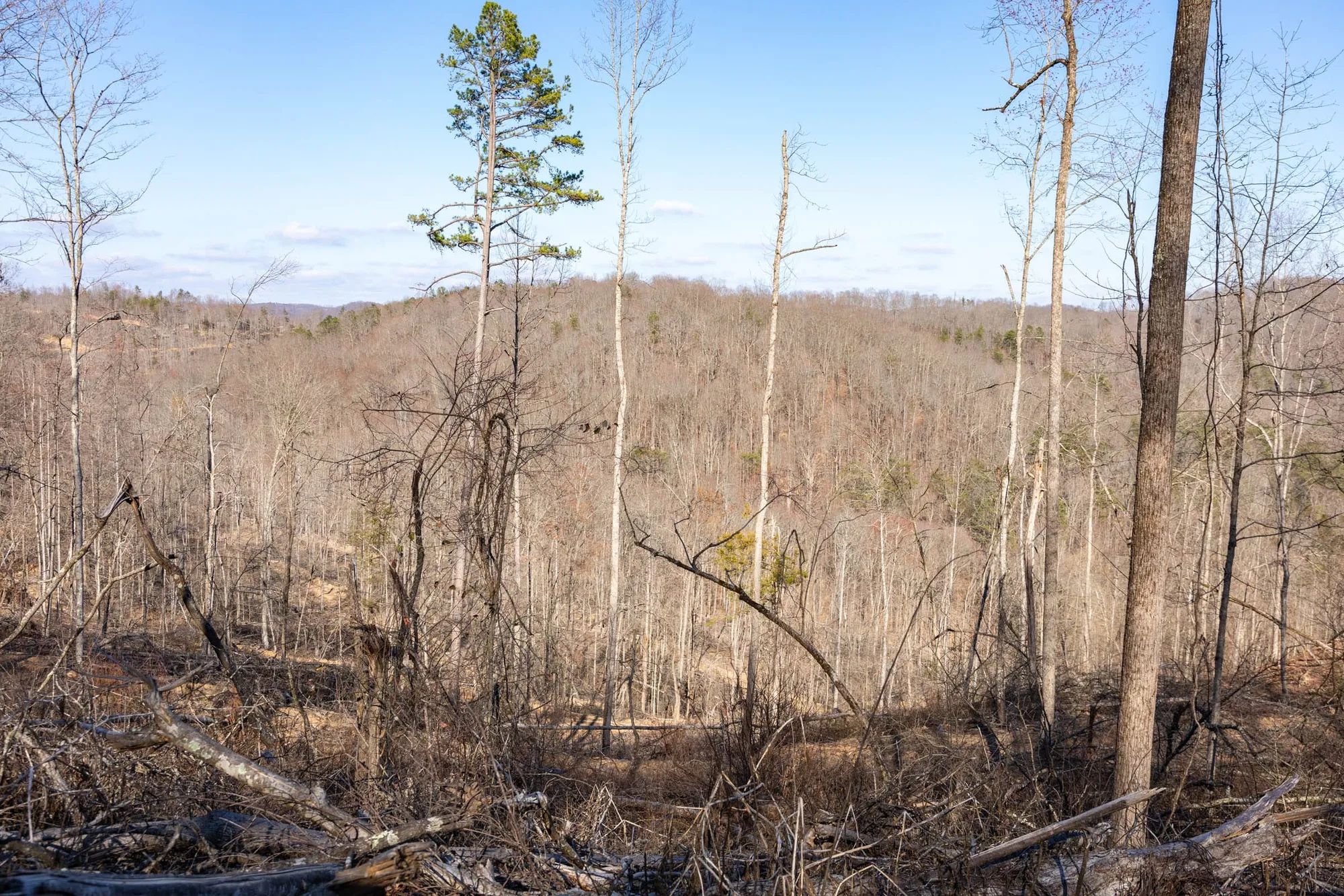 Creek Hollow Phase I Tract 16 in Rockcastle County, KY