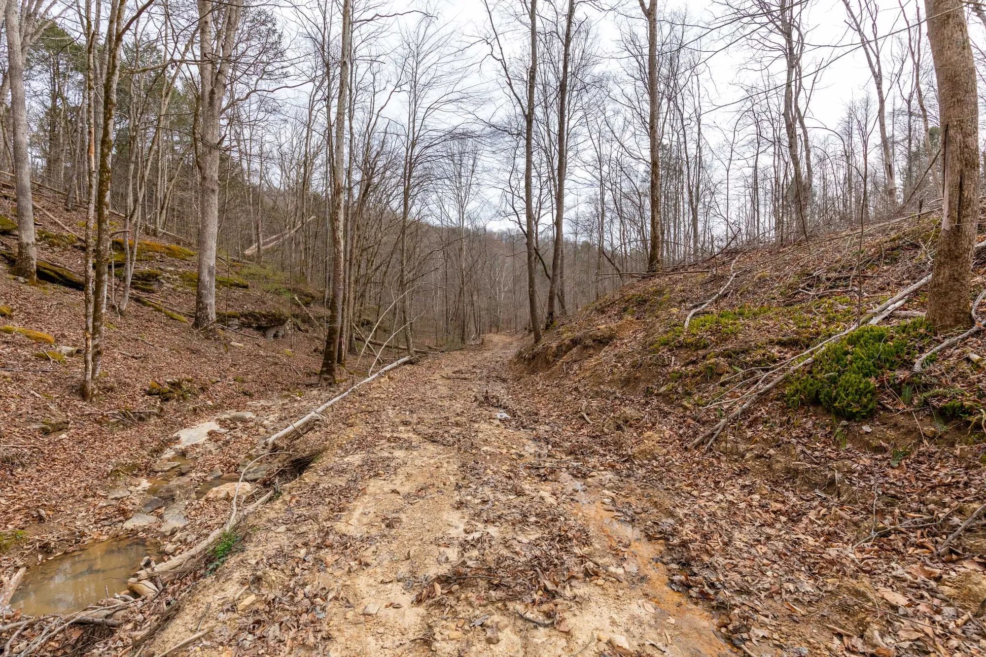 Creek Hollow Phase I Tract 16 in Rockcastle County, KY