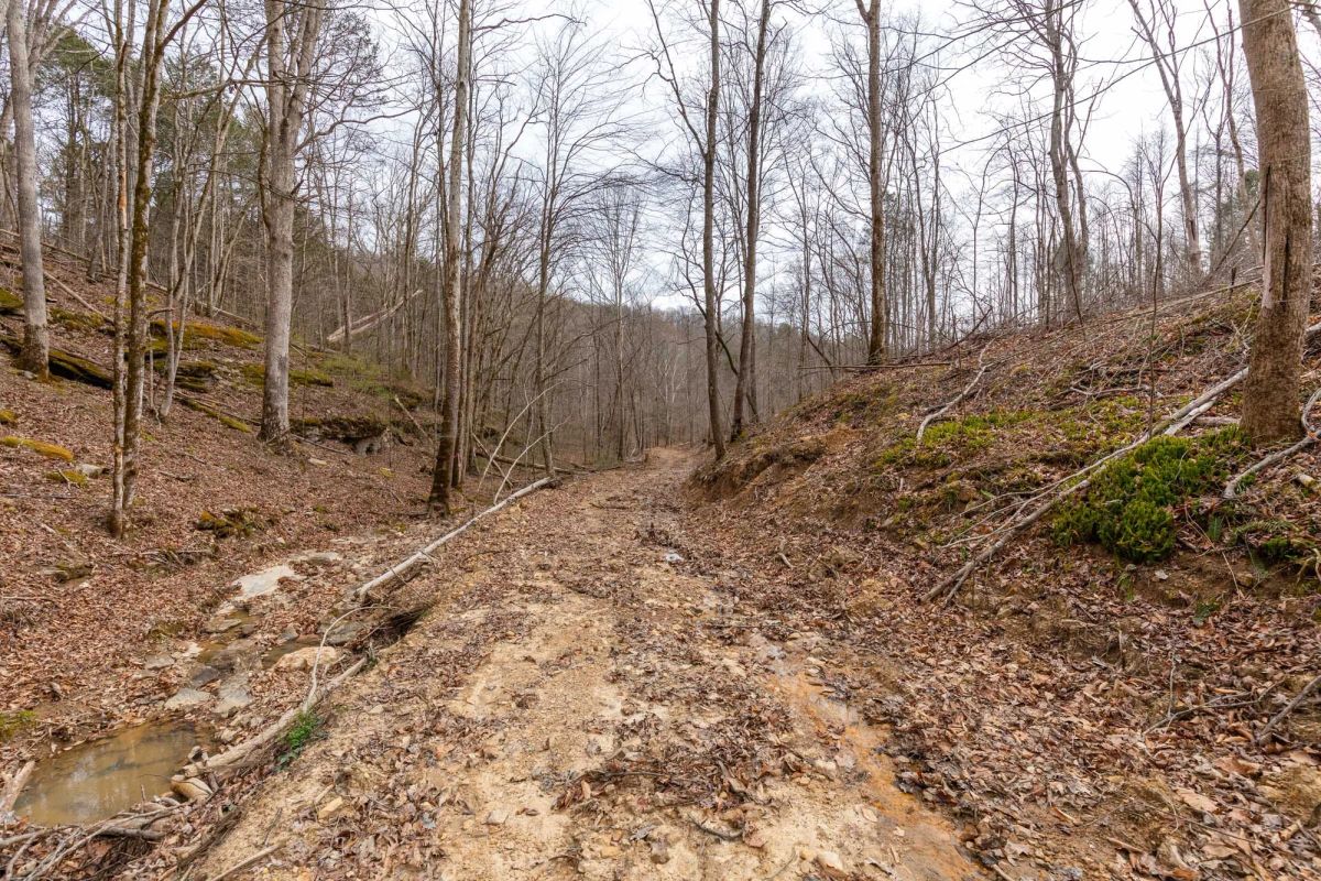 Creek Hollow Phase I Tract 16 - Image 4