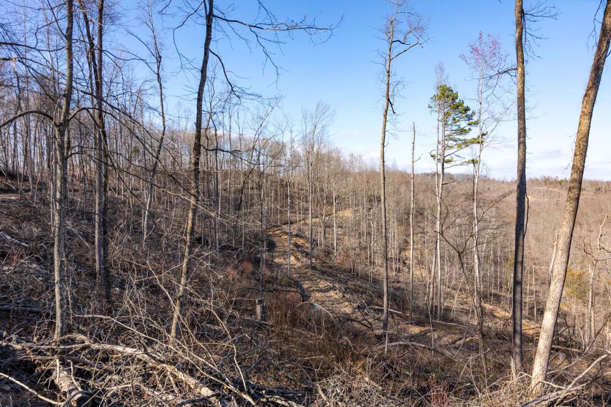 Decorative background for Creek Hollow Phase I Tract 16 image 6