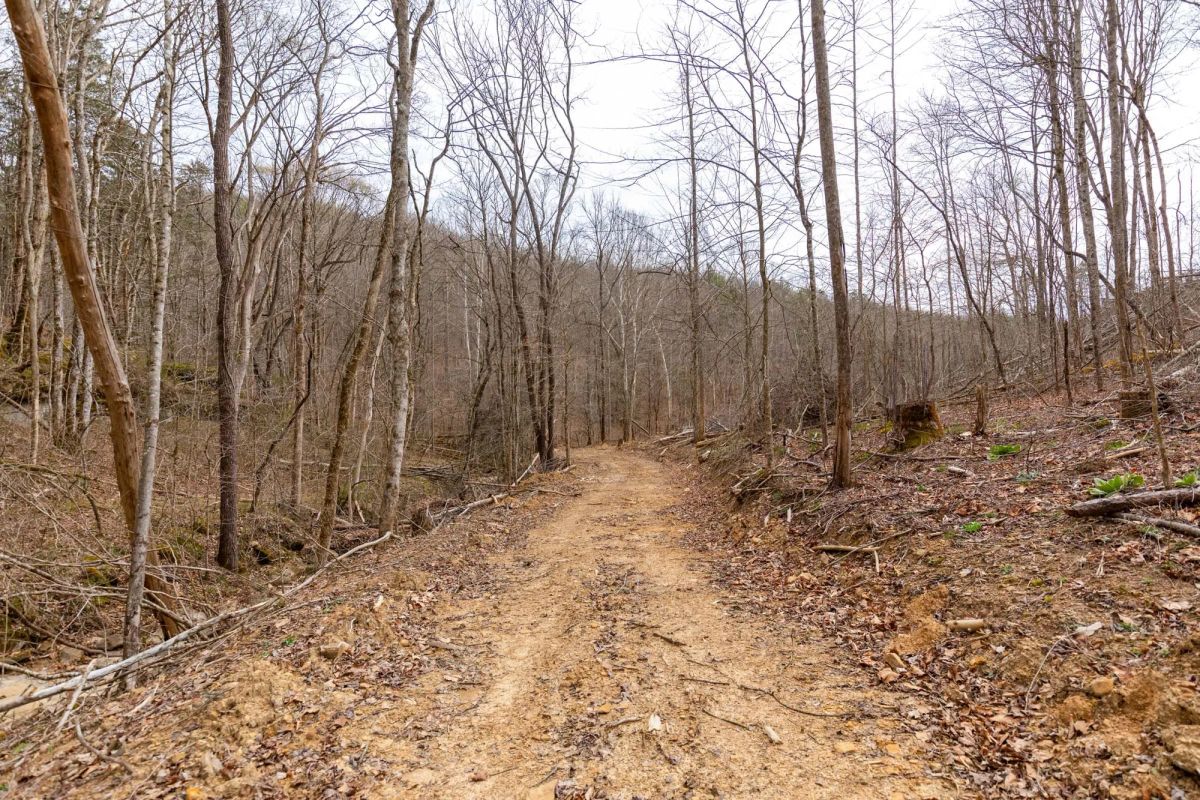 Decorative background for Creek Hollow Phase I Tract 16 image 10