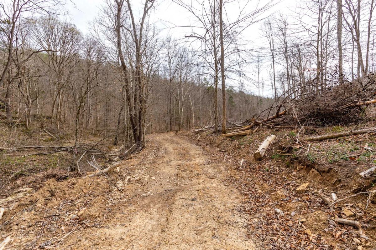 Decorative background for Creek Hollow Phase I Tract 16 image 13