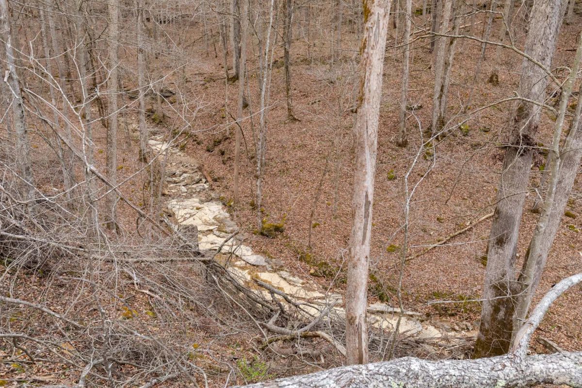 Decorative background for Creek Hollow Phase I Tract 16 image 15