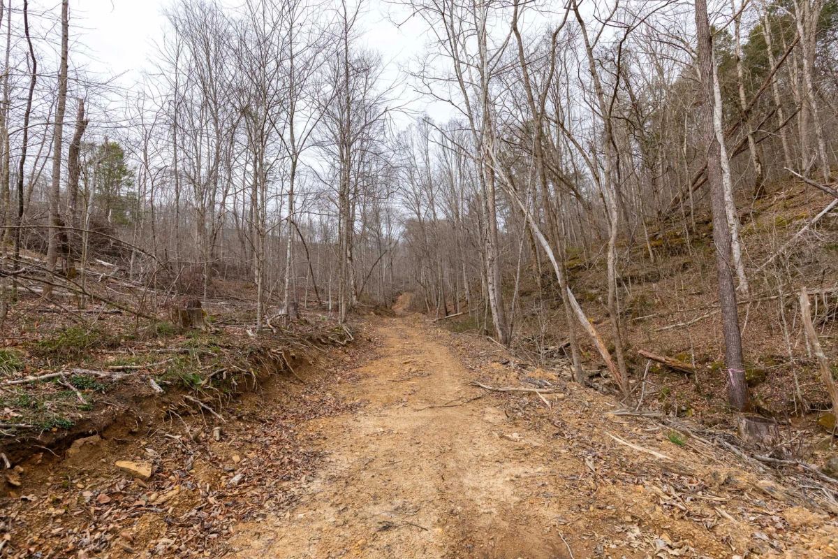 Decorative background for Creek Hollow Phase I Tract 16 image 16