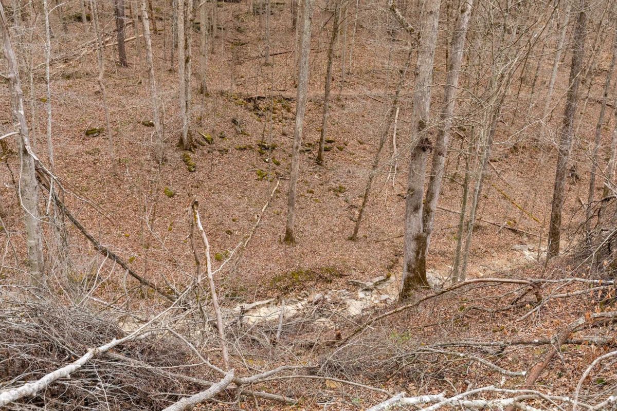Decorative background for Creek Hollow Phase I Tract 16 image 17