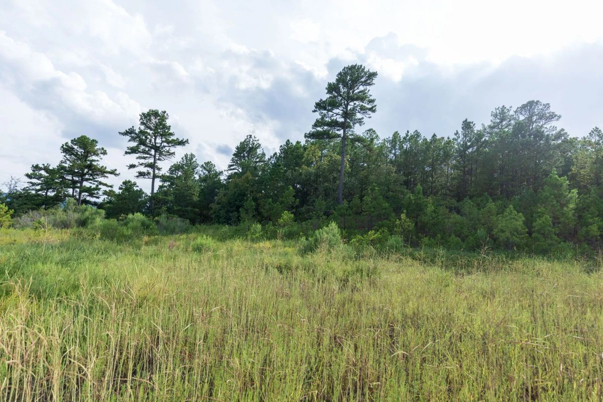 Decorative background for Stone Bridge Phase V Tract 359 image 9