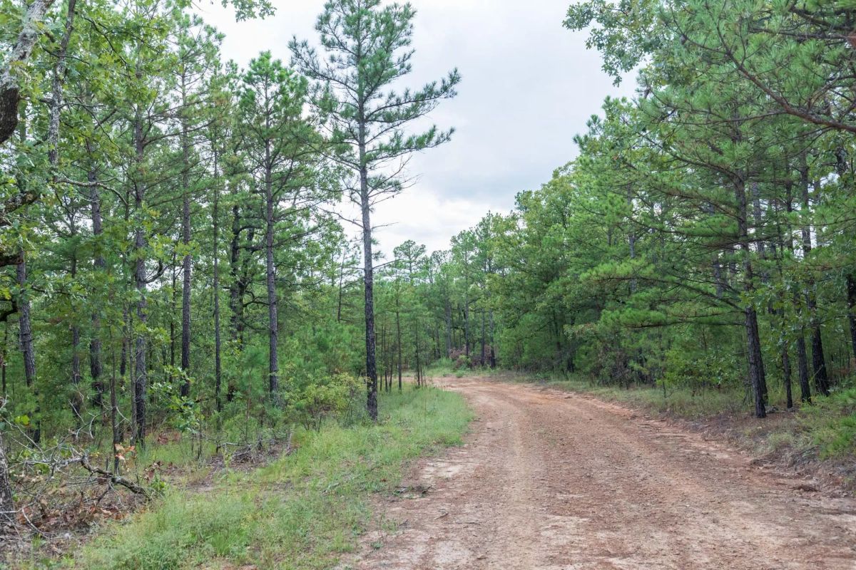 Decorative background for Stone Bridge Phase V Tract 359 image 13