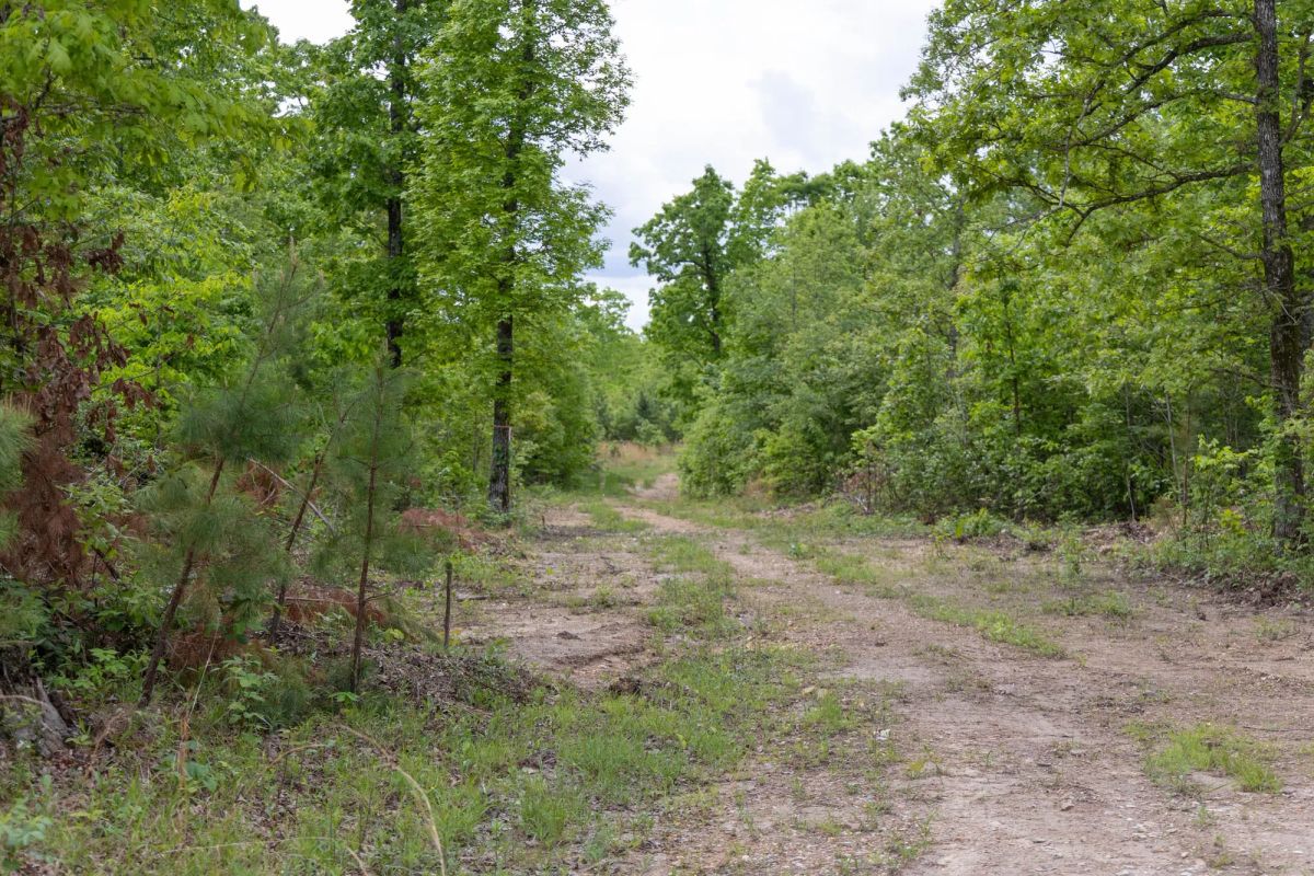 Sleepy Hollow Phase II Tract 74 - Main image