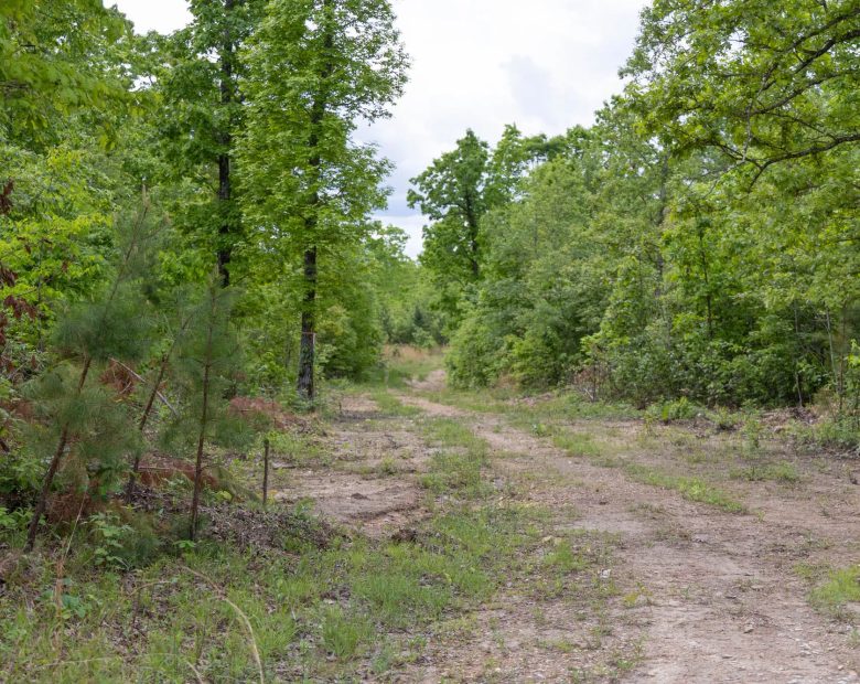 Sleepy Hollow Phase II Tract 74 in Texas County, MO