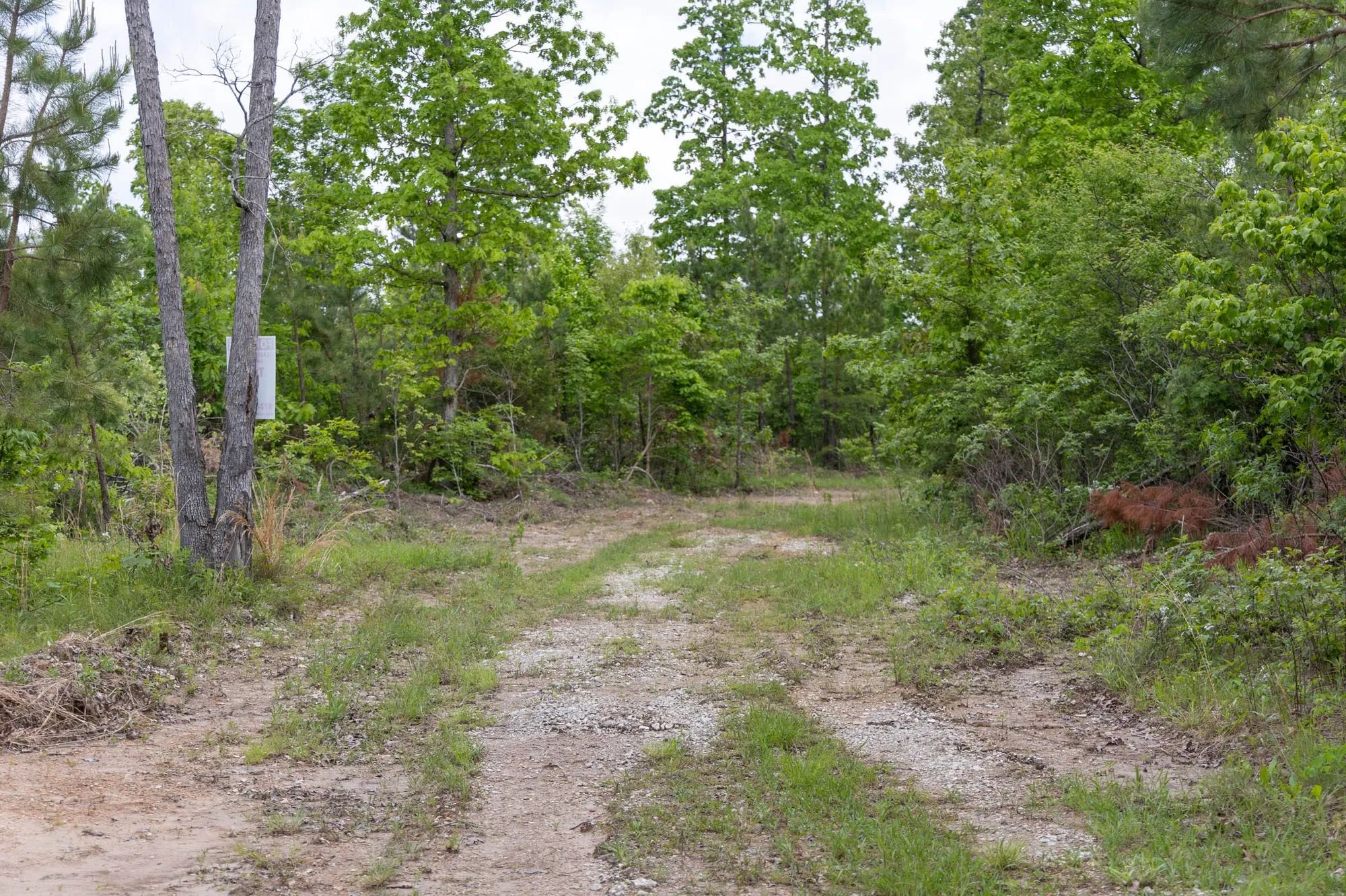 Sleepy Hollow Phase II Tract 74 in Texas County, MO