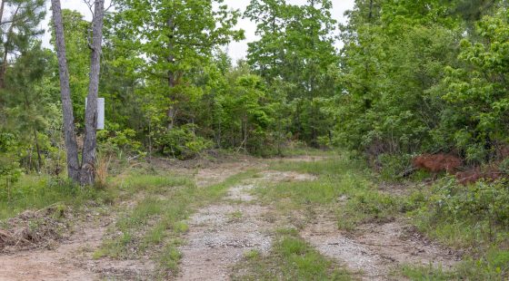 Sleepy Hollow Phase II Tract 74 in Texas County, MO
