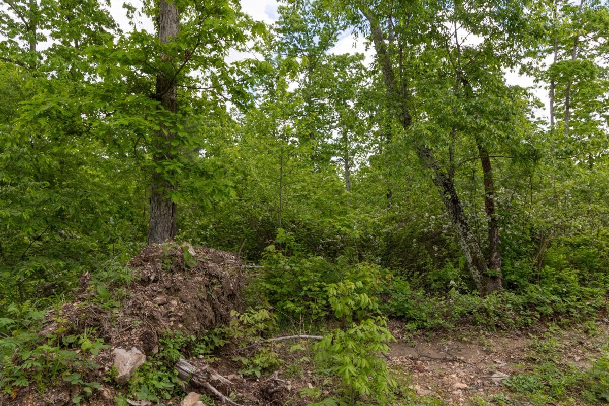 Sleepy Hollow Phase II Tract 74 - Image 3