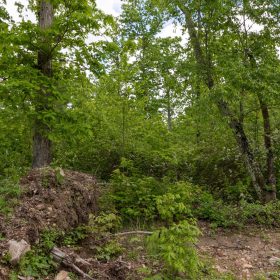Sleepy Hollow Phase II Tract 74 in Texas County, MO