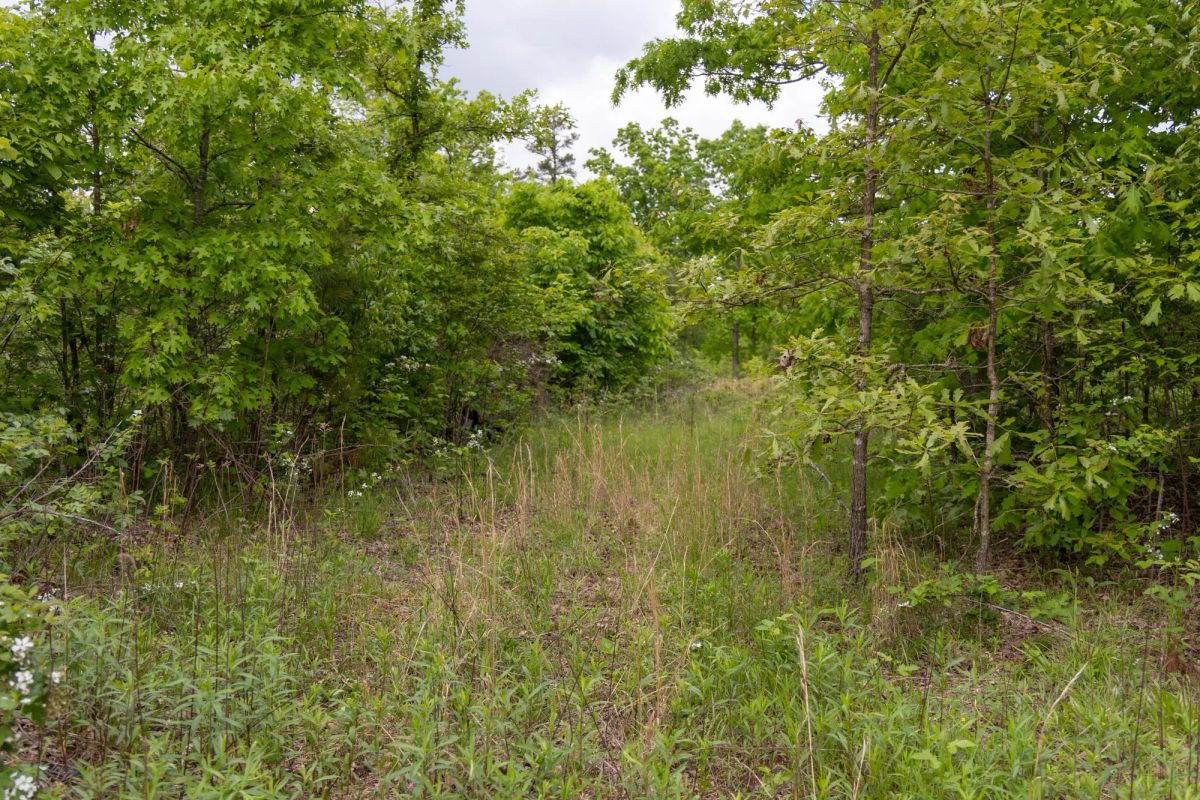 Sleepy Hollow Phase II Tract 74 - Image 4