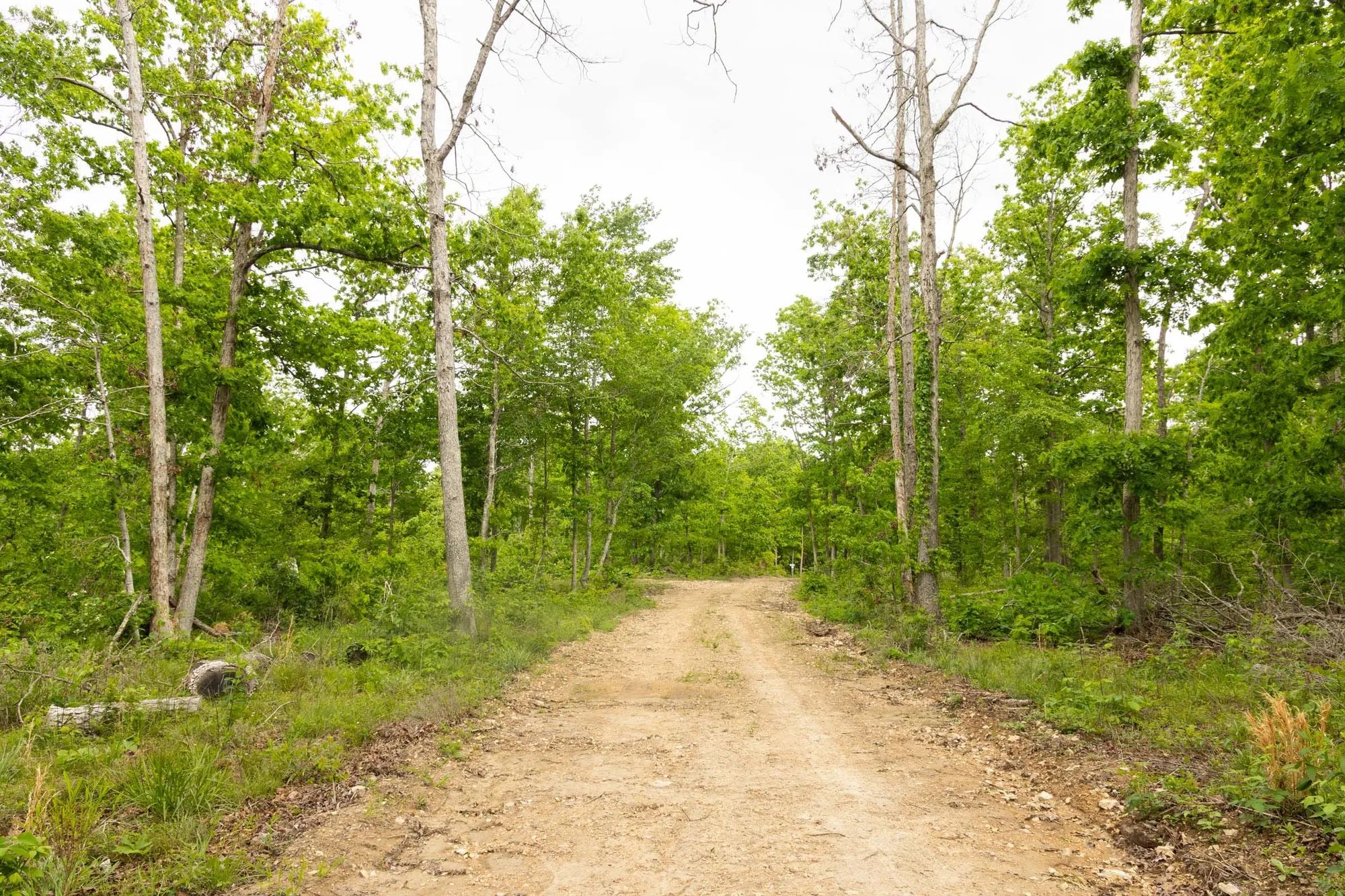Stardust Estates Tract 29 in Reynolds County, MO