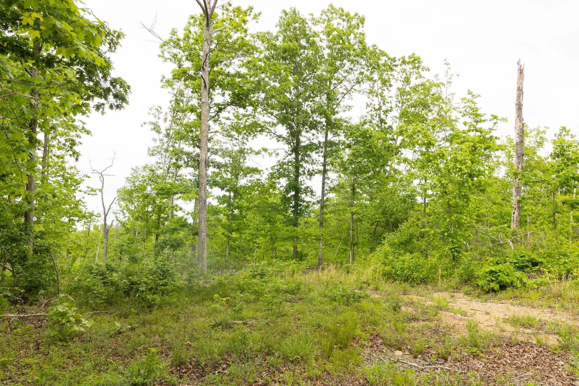 Stardust Estates Tract 29 in Reynolds County, MO