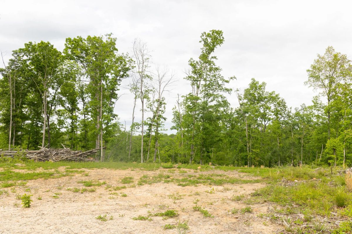 Decorative background for Stardust Estates Tract 29 image 12