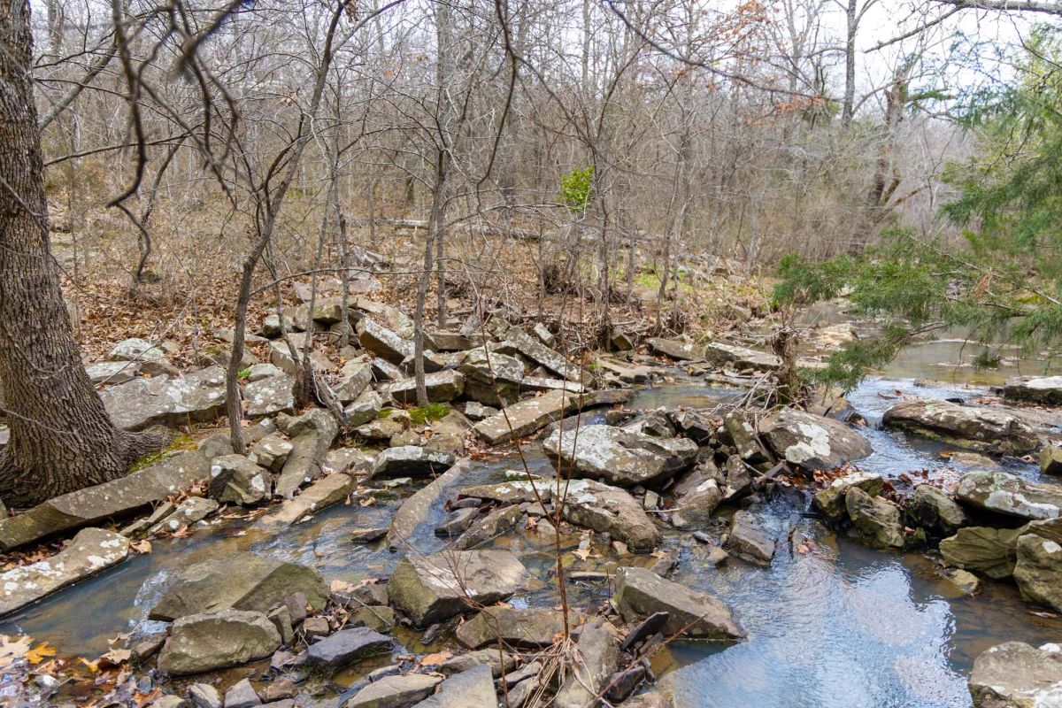 Decorative background for Reserves At Cattail Cove Phase II Tract 70 image 5