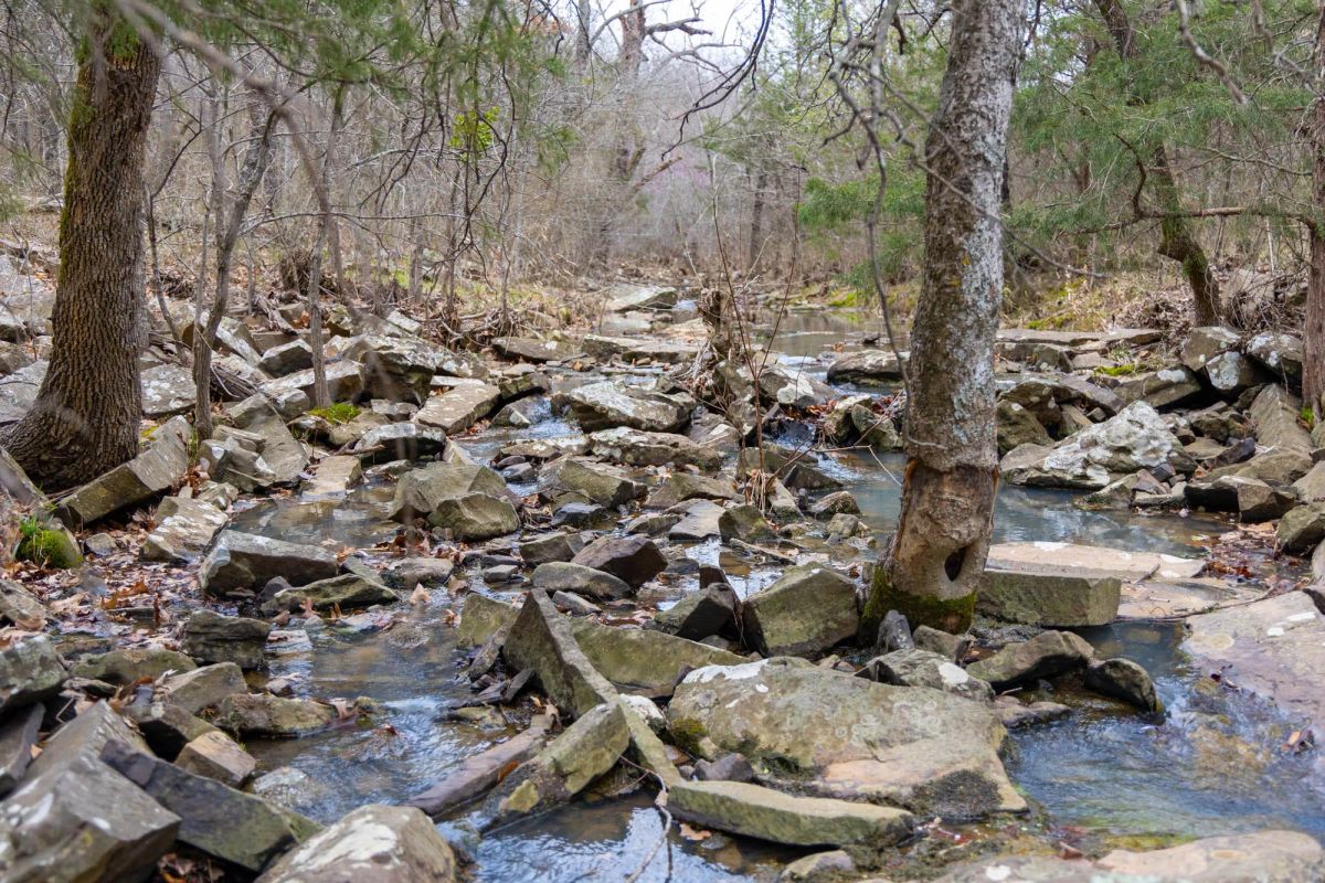 Decorative background for Reserves At Cattail Cove Phase II Tract 70 image 6