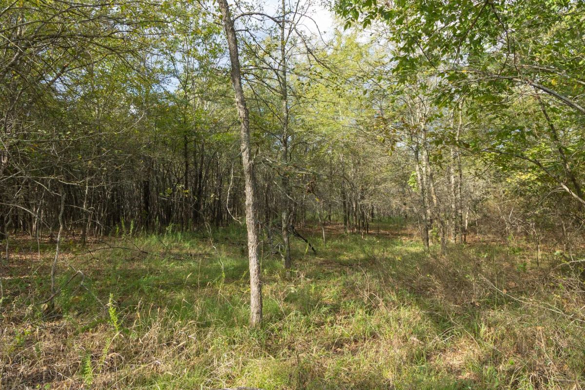 Decorative background for Reserves At Cattail Cove Phase II Tract 70 image 8